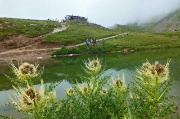 A Punta di Montozzo e Laghetti d'Albiolo dal Rif. Bozzi il 12 ag. 2013  - FOTOGALLERY